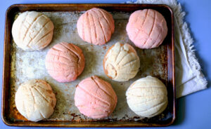 Conchas Rellenas de Dulce de Leche